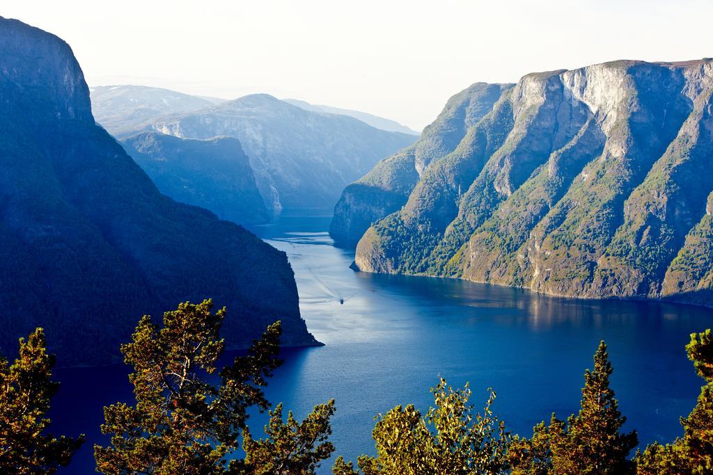 Heimly Pensjonat Flåm Dış mekan fotoğraf